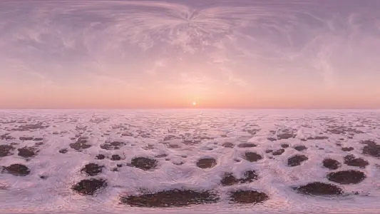 The Martian South Polar Cap