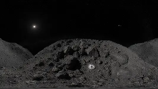 Ryugu's Boulder Field