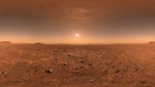 Martian Surface Vista