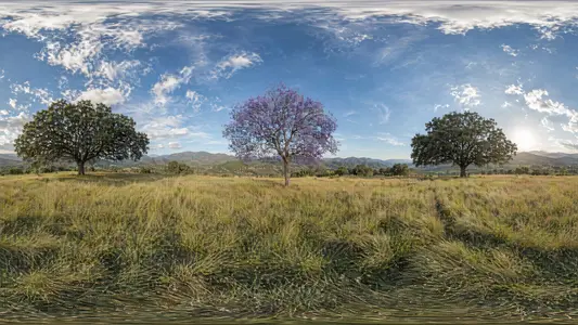 Sub-Mediterranean High Altitude Glade